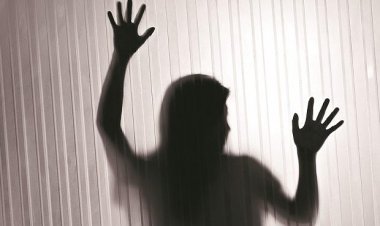 क्रेडिट कार्डचे हप्ते थकले, महिलेकडे थेट शरीरसुखाची मागणी
