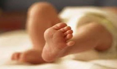 विरारमधील नवजात अर्भकाच्या हत्येचा उलगडा, अल्पवयीन युगुलाच्या संबंधातून जन्मलेले बाळ