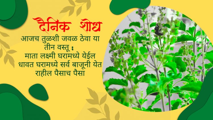 आजच तुळशी जवळ ठेवा या तीन वस्तू ; माता लक्ष्मी घरामध्ये येईल धावत घरामध्ये सर्व बाजूनी येत राहील पैसाच पैसा