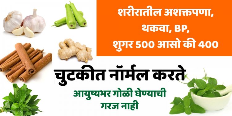 शरीरातील अशक्तपणा, थकवा BP, शुगर 500 आसो की 400 चुटकीत नॉर्मल करते आयुष्यभर गोळी घेण्याची गरज नाही.