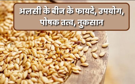 अलसी के बीज के फायदे, उपयोग, पोषक तत्व, नुकसान | Flax Seeds Benefits, Uses, Nutritional Values Side Effects in Hindi