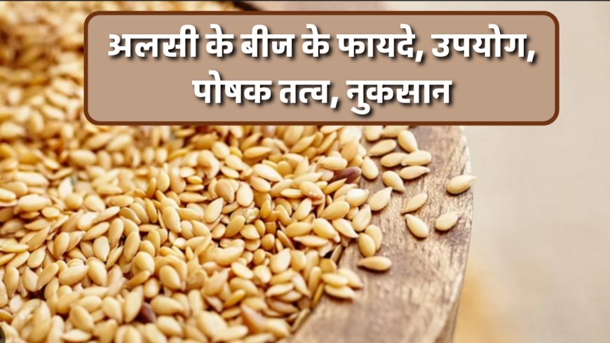 अलसी के बीज के फायदे, उपयोग, पोषक तत्व, नुकसान | Flax Seeds Benefits, Uses, Nutritional Values Side Effects in Hindi