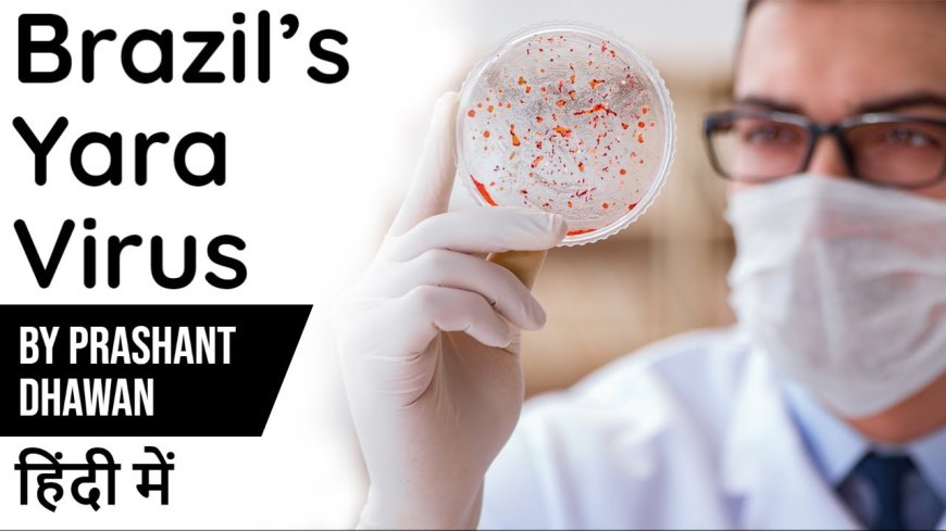 यारा वायरस क्या हैं इसकी उत्त्पत्ति, लक्षण एवं उपाय | Brazil Yara Virus In Hindi