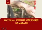 Editorial: अजाण सर्प आणि अंधश्रद्धा | DS Marathi