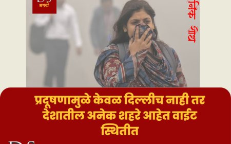 प्रदूषणामुळे केवळ दिल्लीच नाही तर देशातील अनेक शहरे आहेत वाईट स्थितीत | Delhi Air Pollution | DS Marathi